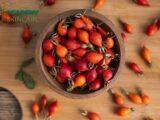 What are the different Rosehip Oil that you need to know